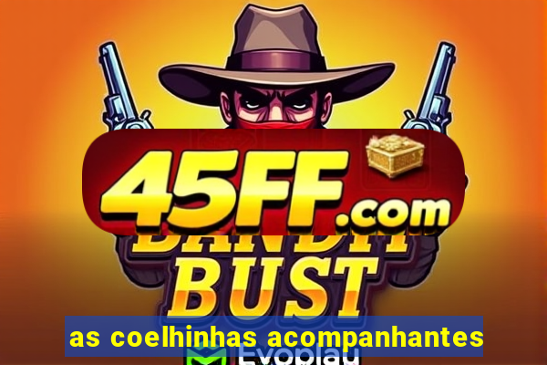 as coelhinhas acompanhantes